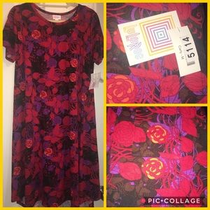 NWT, never been worn Floral Carly
